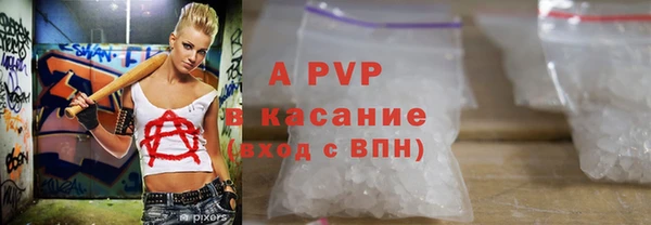 ECSTASY Кинешма