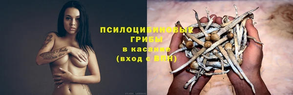 ECSTASY Кинешма