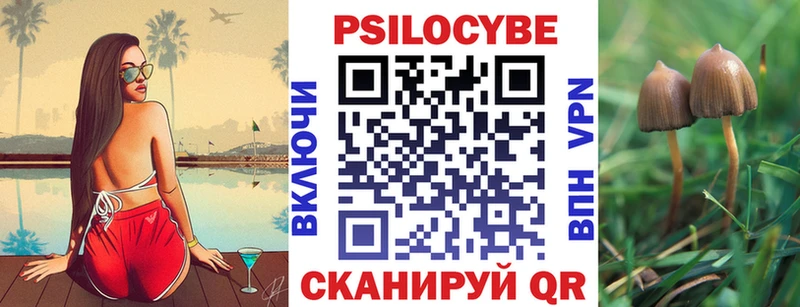 Купить закладки  Гремячинск  Псилоцибиновые грибы ЛСД 